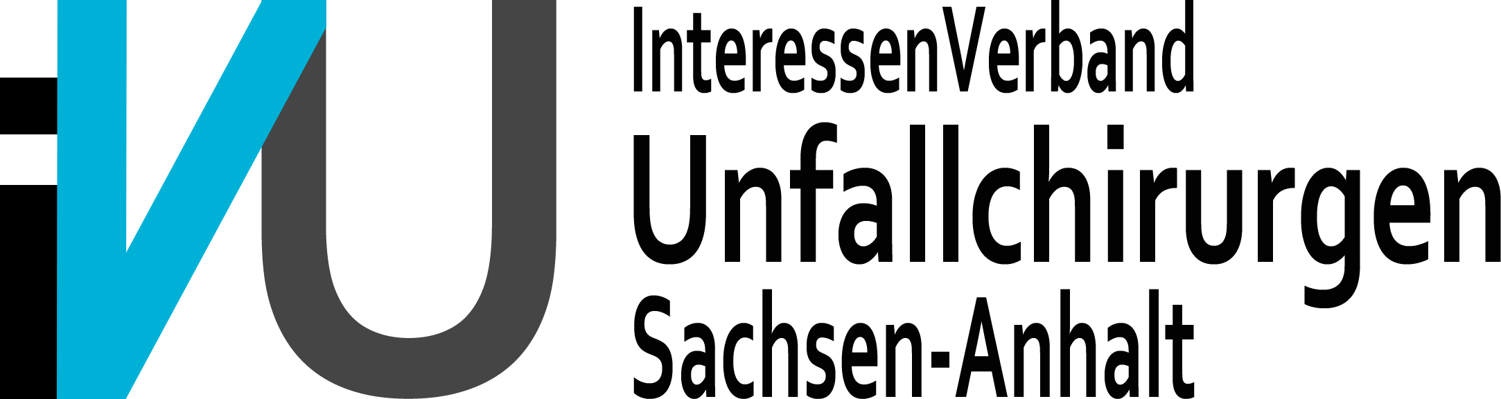 wwwivu-sachsen-anhalt-de logo